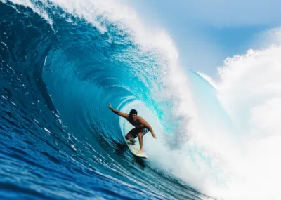 Illustration ripper - Image 1