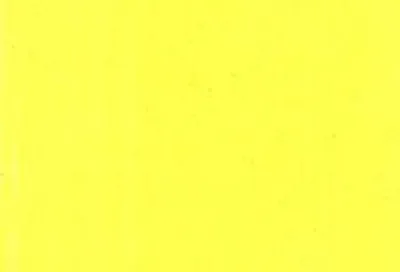 Illustration lemon - Image 2