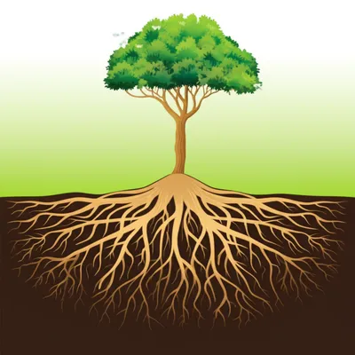 Illustration feet - Image 1