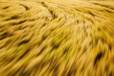 Illustration waves - Image 1