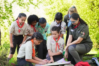 Illustration scout - Image 1