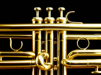 Illustration brassy - Image 1