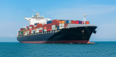 Illustration bottoms - Image 1