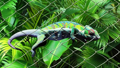 Illustration escape - Image 1