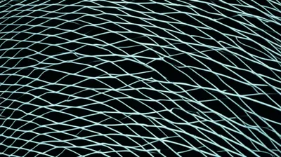 Illustration netting - Image 1