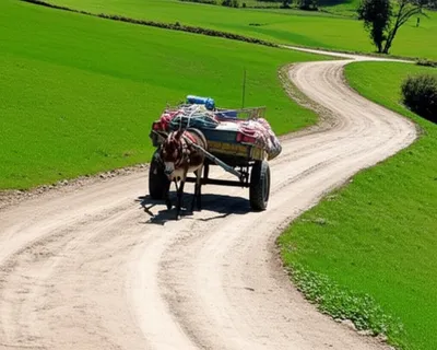 Illustration plied - Image 1