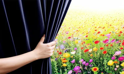 Illustration baring - Image 1