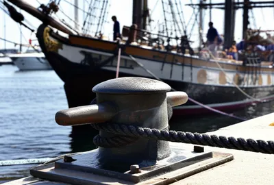 Illustration snub - Image 1