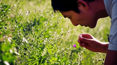 Illustration weighs - Image 1