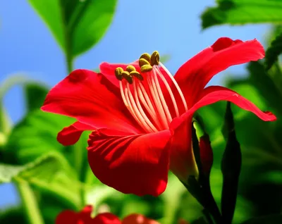 Illustration seasons - Image 1