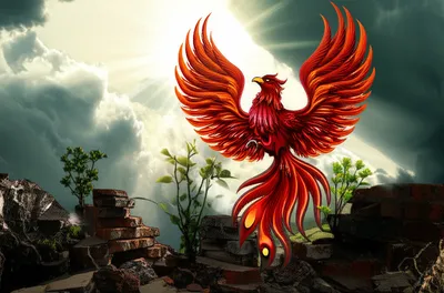 Illustration rebuilding