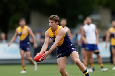 Illustration handballs - Image 1