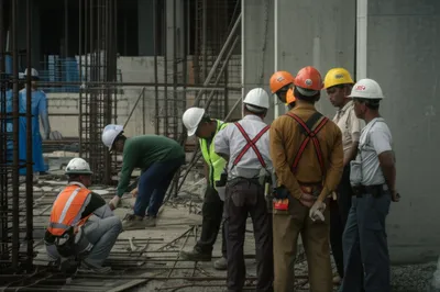 Illustration rats - Image 1