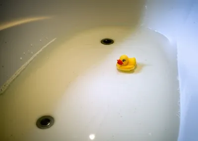 Illustration bathwater