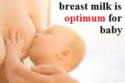 Illustration optimum - Image 2