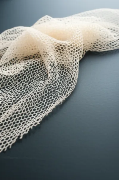 Illustration caddis - Image 1