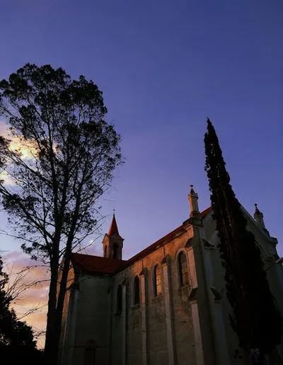 Illustration sublimer - Image 2