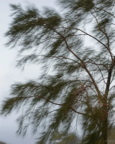 Illustration sway - Image 1