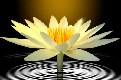 Illustration fulfilment - Image 1