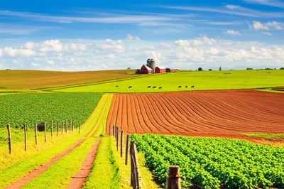 Illustration rural - Image 1