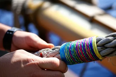 Illustration serving - Image 1