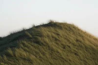 Illustration dun - Image 1