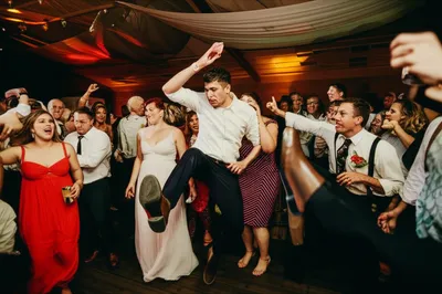 Illustration cushions - Image 1