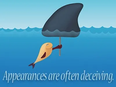 Illustration appearance - Image 2