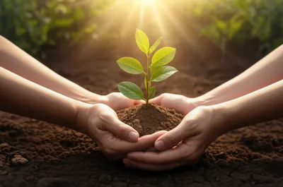 Illustration helping - Image 1