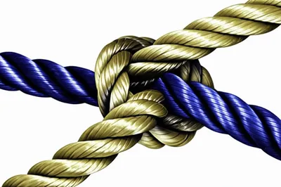 Illustration knotting - Image 1