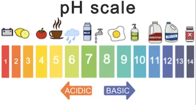 Illustration basic - Image 2