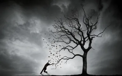 Illustration stripped - Image 1