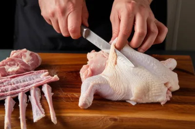 Illustration bone - Image 1