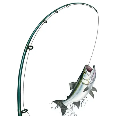 Illustration reeled - Image 1