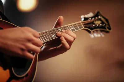 Illustration chuck - Image 1