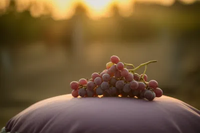 Illustration flabby - Image 1