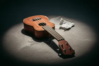 Illustration songs - Image 1