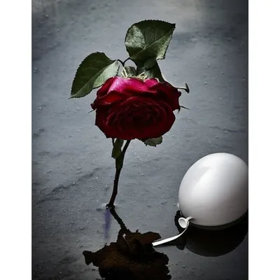 Illustration bit - Image 1