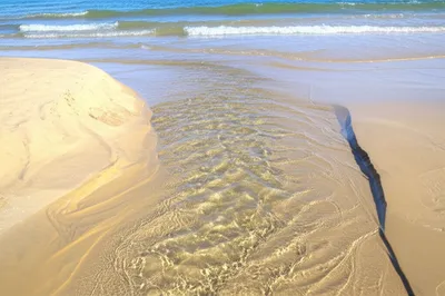 Illustration swash - Image 1