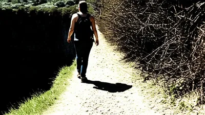 Illustration blinders - Image 1