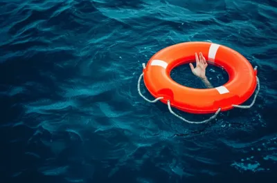 Illustration preserver - Image 1