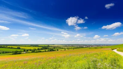 Illustration outdoors - Image 1