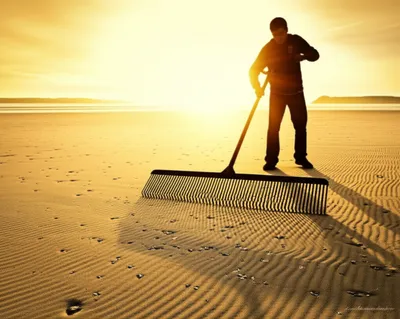 Illustration combs - Image 1