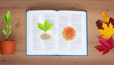 Illustration terms - Image 1