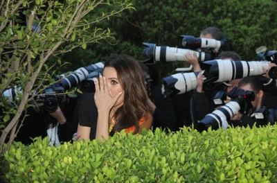 Illustration pap - Image 1