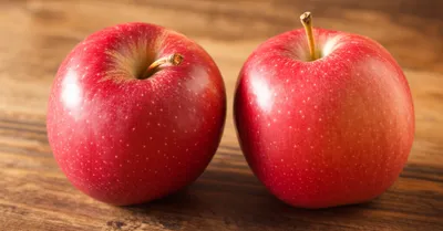 Illustration likenesses