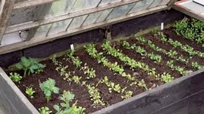 Illustration hotbed - Image 2