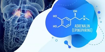 Illustration adrenaline - Image 2