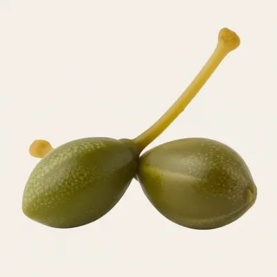 Illustration nonpareils - Image 1