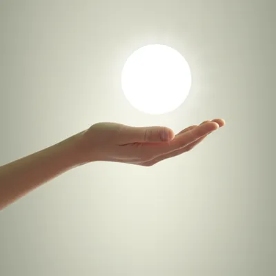 Illustration reception